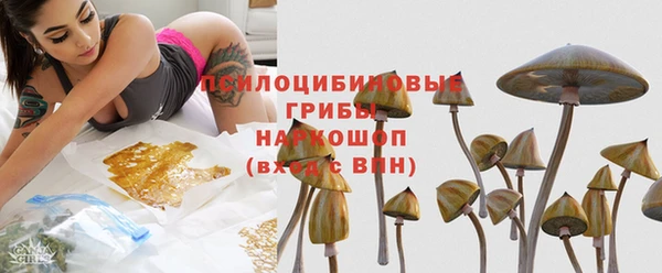 дурь Алзамай