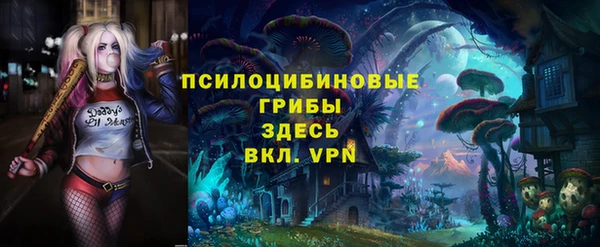 эйфоретик Абаза