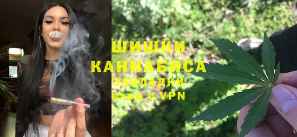 дурь Алзамай