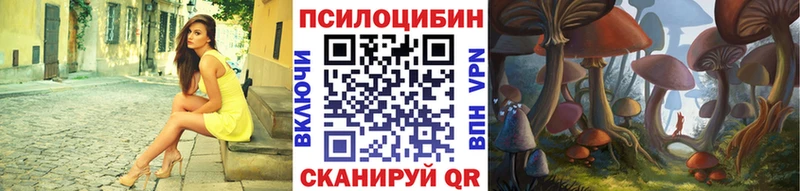 закладки Бокситогорск Псилоцибиновые грибы мицелий